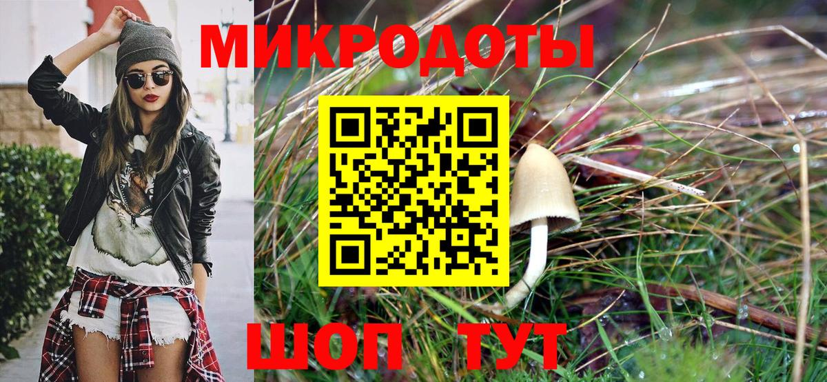 Псилоцибиновые грибы Psilocybine cubensis  Вход с VPN  Галлюциногенные грибы Psilocybine cubensis  Калининград 
